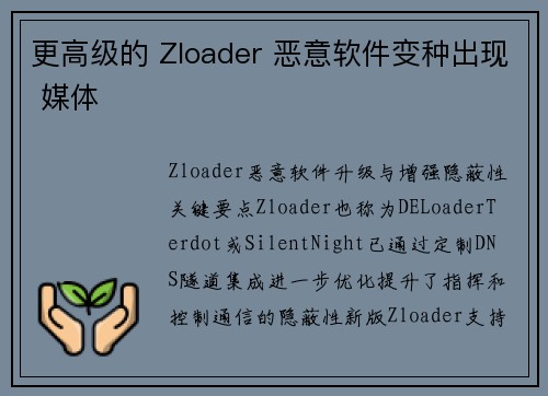 更高级的 Zloader 恶意软件变种出现 媒体
